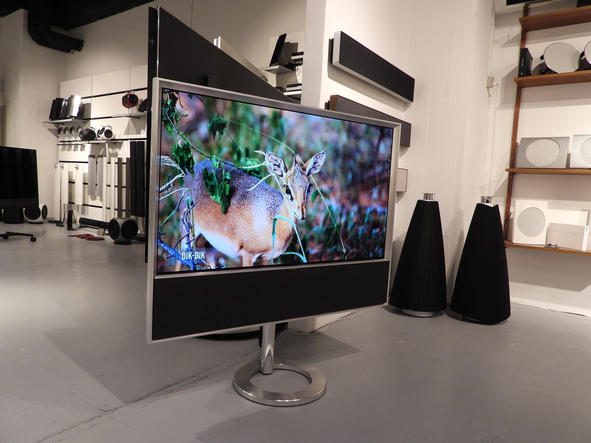 BEOvision Contour 55