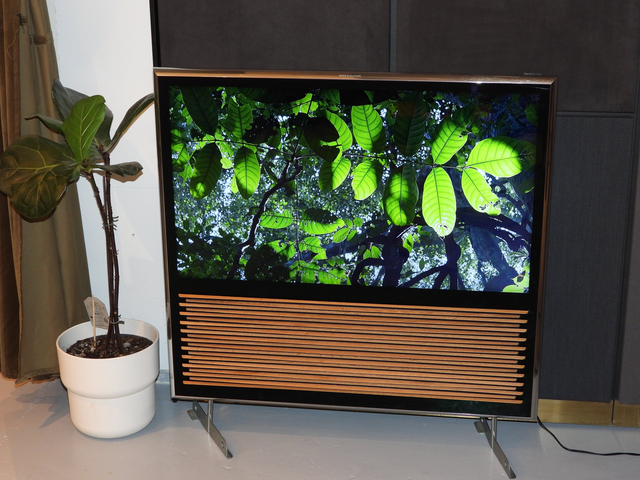 BEOvision 11 40