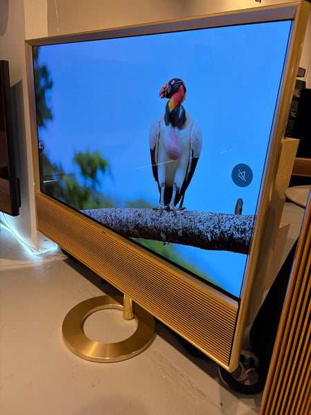 BEOvision Contour 55" Gold Tone