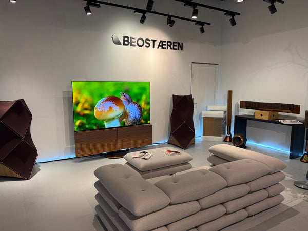 BEOvision Harmony 77